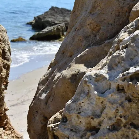 别墅 Musa With Private Pool 阿菲托斯