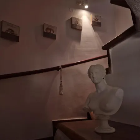 Musa With Private Pool