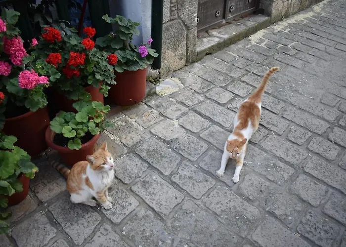 Villa Musa With Private Pool