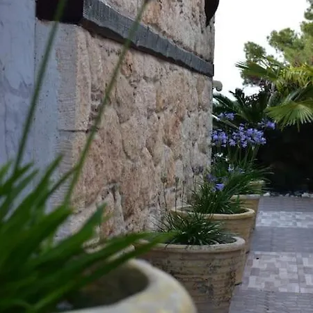 Musa With Private Pool