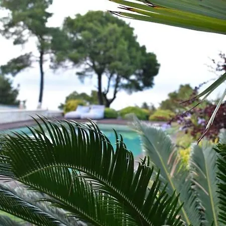 Villa Musa With Private Pool